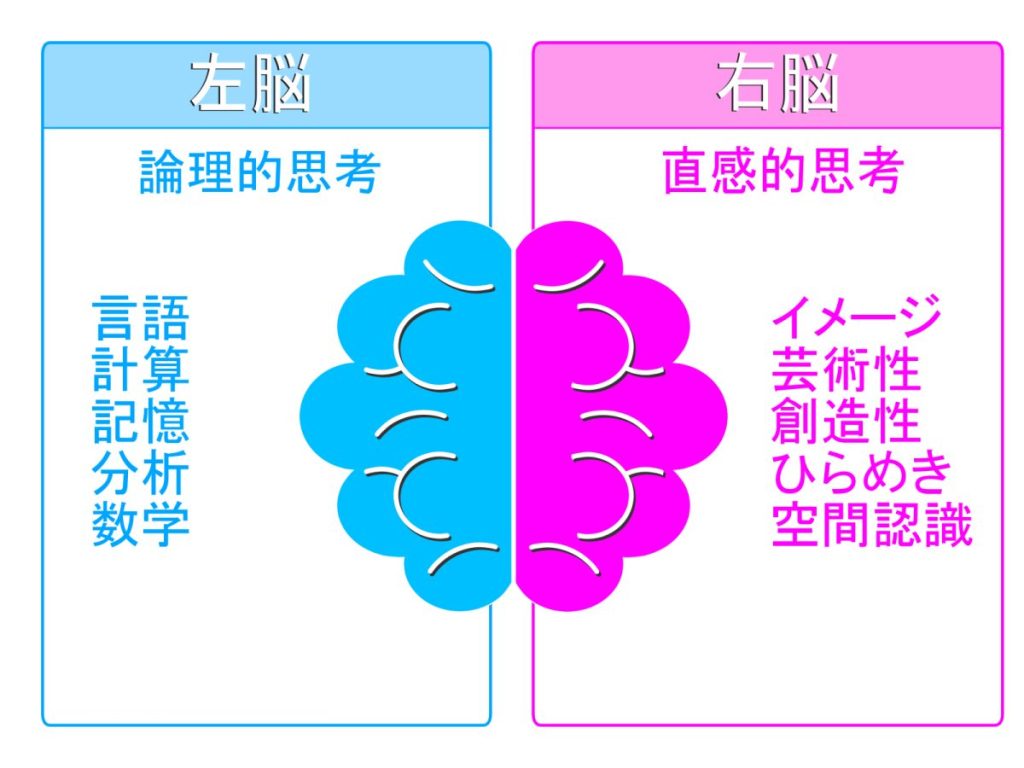 右脳と左脳の働き